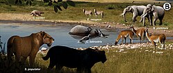 Two S. populator stalking a Palaeolama major group in Brazil, in a landscape also including the gomphothere Notiomastodon platensis, the horse Equus neogeus and the ground sloth Catonyx cuvieri