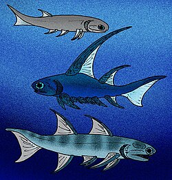 Three acanthodians from the Early Devonian of Great Britain: Mesacanthus (an acanthodiform), Parexus (a "climatiiform"), and Ischnacanthus (an ischnacanthiform)