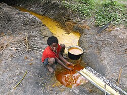 The palm oil industry has a history of violating labor-related human rights, indigenous territorial right and environmental rights of communities in the contexts where the industry is prominent. Child labor violations are common in smallholder farming in many of the post-colonial contexts (such as Africa) in which palm oil is produced.