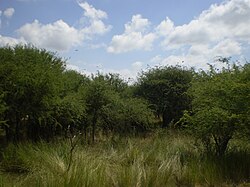 Parque Luro Natural Prairie Preserve.