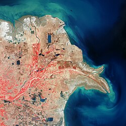 Yellow River Delta, which is located 60 kilometres (37 mi) from downtown Dongying, is one of the largest river delta in the world[50]
