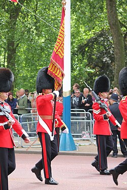 Queen's colour of the Grenadier Guards in 2013