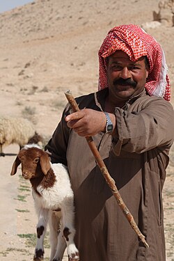 Bedouin shepherd in Syrian Desert