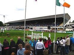 Anglesea stand