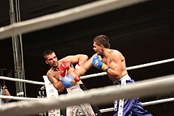Fighter (left) using reverse elbow block