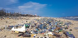 Plastic pollution at a beach near Accra, Ghana