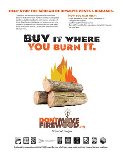 Poster from the State of California asking campers to not move firewood around, avoiding the spread of invasive species