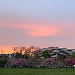 The Main Library viewed from The Meadows