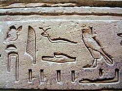 Hieroglyphs typical of the Greco-Roman period