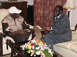Obasanjo with Robert Mugabe in 2013