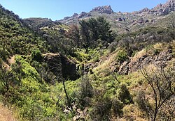 Mixed chaparral habitat in the Santa Monica Mountains National Recreation Area