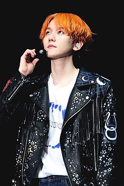 Baekhyun at the Exo Planet 5 - Exploration, July 2019