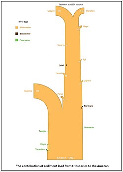 The contribution of the sediment load from tributaries to the Amazon.