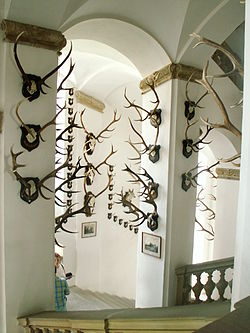 Trophy collection of the Liechtenstein family at Úsov Castle, the Czech Republic