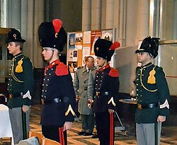 Belgian Grenadiers with red fringed epaulettes