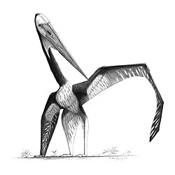 This drawing of Zhejiangopterus by John Conway exemplifies the "new look" of pterosaurs