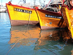 Typical wooden fishing boats at the port of Mar del Plata, known as Lanchas Amarillas