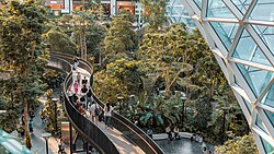 Walking path through 'The Orchard,' a lush, tropical indoor garden at Hamad International Airport, with travelers and a modern glass ceiling in the background.