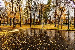 Autumn in Avenue Raphaël [fr], Paris