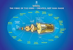 "Wool: Fibre of the gods, created – not man-made" CSIRO marketing poster describing the benefits of wool