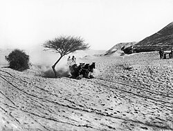 An Australian Light Horse team on a road near Jericho.