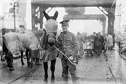 British cavalry soldiers leaving Ireland, 1922