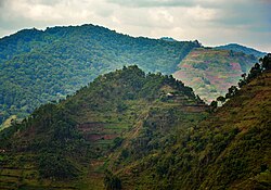 Example of human caused habitat destruction likely capable of reversing if further disturbance is halted. Uganda.