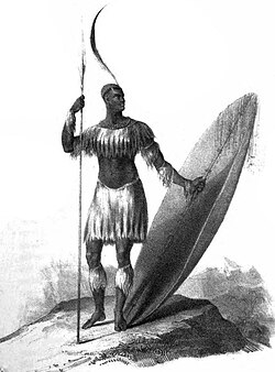 The only known drawing of Shaka. Notice the long throwing assegai