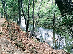 Hiking on the Los Gatos Creek Trail