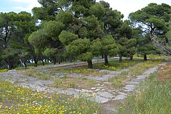 Temple of Poseidon, Hermione