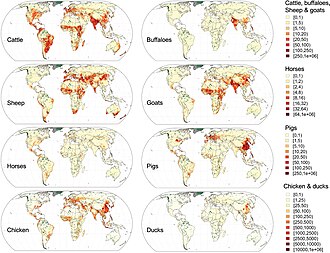 Global distribution data for cattle, buffaloes, horses, sheep, goats, pigs, chickens and ducks in 2010