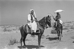 Bedouins on horseback, 1950s