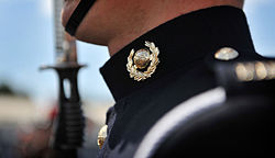 A newly qualified Royal Marine of 122 Troop Kings Squad is pictured during a passing out parade in 2011, having undergone the recruitment process and selection and training