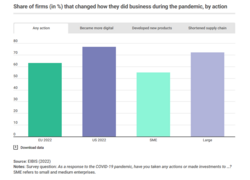 Share of firms that changed how they did business during the COVID-19 pandemic.