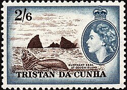 Elephant seal at Gough Island depicted on a 1954 Tristan da Cunha stamp