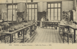 Men and woman working in a classroom at the Institut Pasteur in Paris, c. 1920