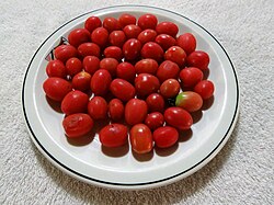 Tomatoes production in Rio Grande do Sul.