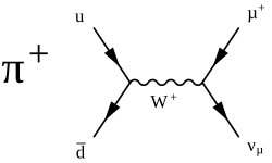 π+ decay through the weak interaction