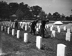 WPA workers straighten headstones, Chalmette National Cemetery, 1937