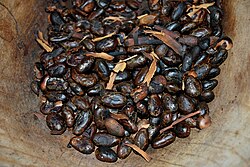 Toasted cacao beans, ready for use
