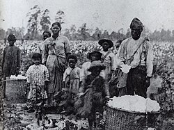 Cotton slaves in Georgia, c. 1850