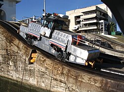 Mule in the Miraflores Locks