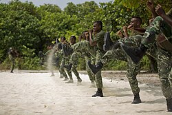 Maldivian marines