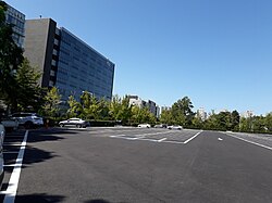 N-center