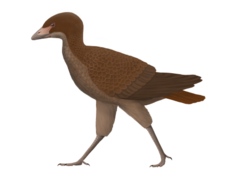 Life restoration