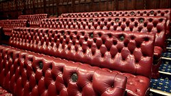Benches in the chamber are coloured red. In contrast, the benches in the House of Commons are green.