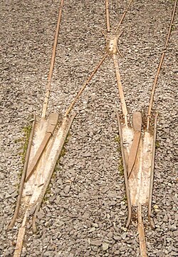 A narrow-gauge plate switch