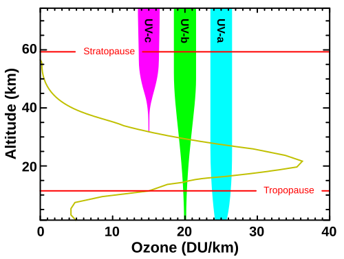 Levels of ozone at various altitudes (DU/km) and blocking of different bands of ultraviolet radiation: In essence, all UVC is blocked by diatomic oxygen (100–200 nm) or by ozone (triatomic oxygen) (200–280 nm) in the atmosphere. The ozone layer then blocks most UVB. Meanwhile, UVA is hardly affected by ozone, and most of it reaches the ground. UVA makes up almost all UV light that penetrates the Earth's atmosphere.