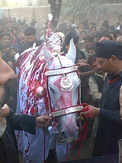 A Zuljenah in a Muaharram procession