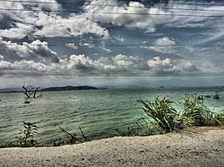 Valencia Lake, formerly praised by Alexander von Humboldt for its beauty, is massively polluted due to the countless sewage systems pouring residuals.[186]
